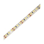 Ταινία LED Eco 14.4W 12V 6500K 1400lm IP65 - Image 3