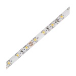 Ταινία LED Eco 4.8W 12V 4000K 480lm IP65