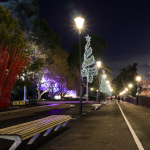 CHRISTMAS TREE,270&200LED ΕΠΙΣT ΣΧΕΔ 7.5mΜΟΝΟΚ ΦΩΤ+ΛΑΜ ΣΕΙΡ,CW+ΠΡΑΣ ΣΤΑΘ,IP65,750x200CM,1.5m ΤΡ - Image 2